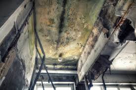 Best Attic Mold Removal  in Jean Fitte, LA